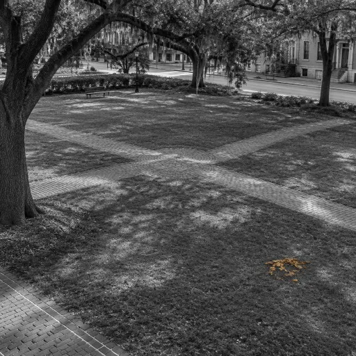 How to read Savannah's squares, and why they should shape where you stay